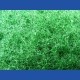 rictools Haft-Reinigungsvlies – Ø 125 mm, grün, hart, leicht abrasiv